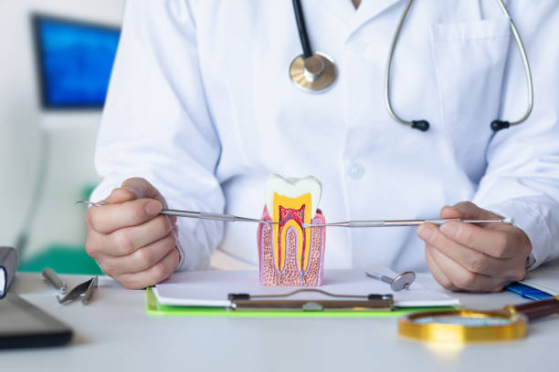 Best Dentist for Tooth Abscess  in Centerburg, OH